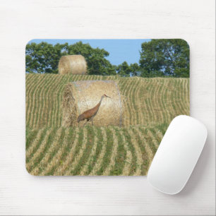 SANDHILL CRANE/FARM FELD/RUNDBALKEN VON HAY MOUSEPAD