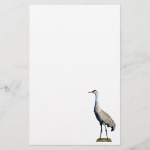 Sandhill Crane Foto Letterhead Paper Briefpapier