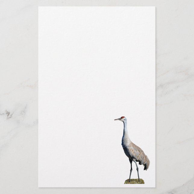 Sandhill Crane Foto Letterhead Paper Briefpapier (Vorderseite)