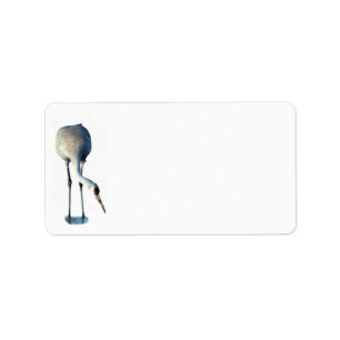 Sandhill Crane Foto Stationery Address Label Adressaufkleber