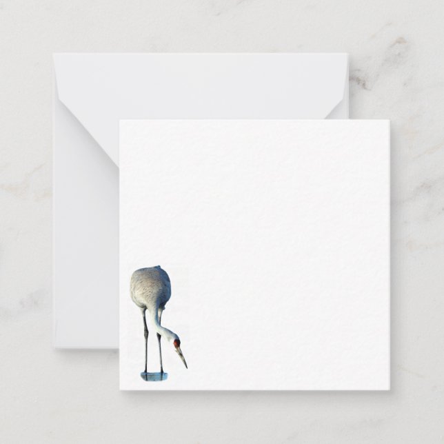 Sandhill Crane Foto Stationery Mitteilungskarten (Vorderseite)