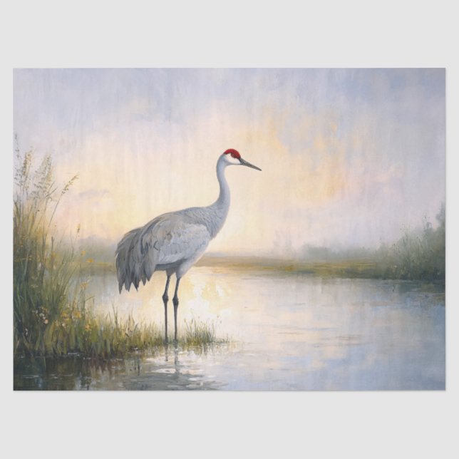 Sandhill Crane im Morgenlicht Seidenpapier (Vorderseite)