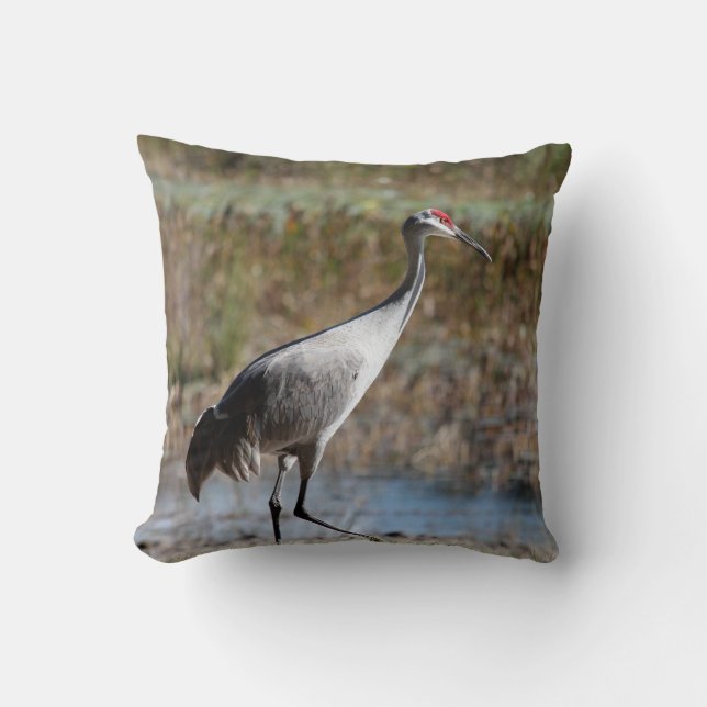 Sandhill Crane Kissen (Vorderseite)