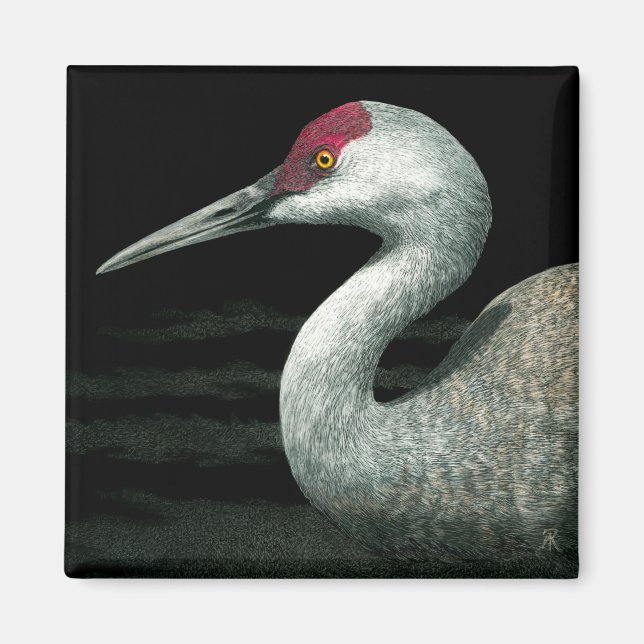 Sandhill Crane Magnet - "Grassland Grace" (Vorne)