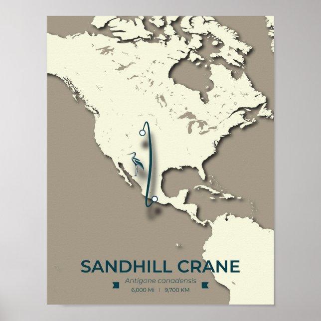 Sandhill Crane Migration Map - Minimalistisch Vint Poster (Vorne)