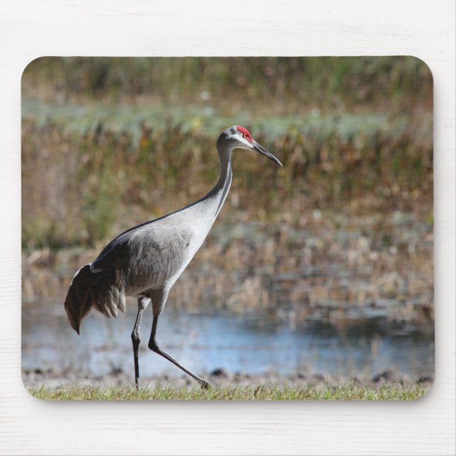 Sandhill Crane Mousepad (Vorne)