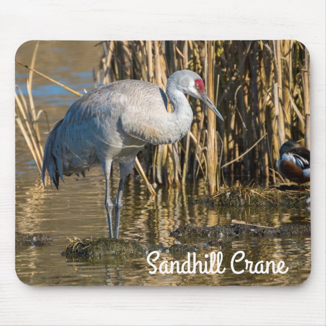 Sandhill Crane Mousepad (Vorne)