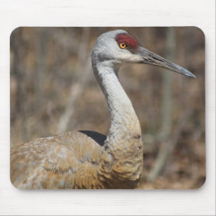 Sandhill Crane Mousepad