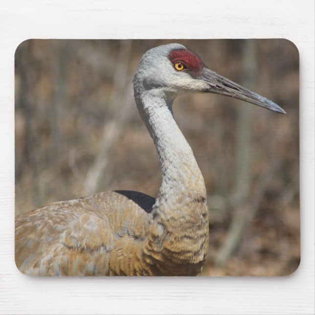 Sandhill Crane Mousepad (Vorne)