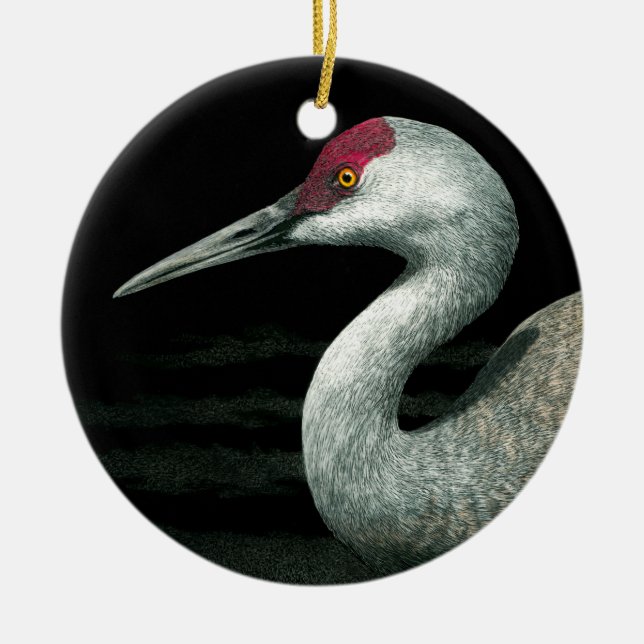 Sandhill Crane Ornament - "Grassland Grace" (Vorne)