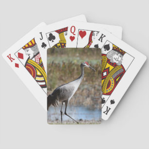 Sandhill Crane Spielkarten