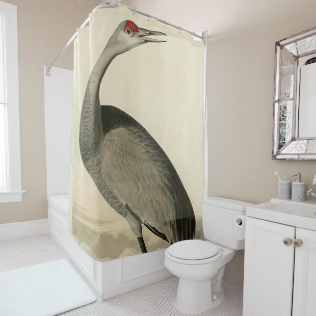 Sandhill Crane von Audubons Vögeln von Amerika Duschvorhang (Beispiel)