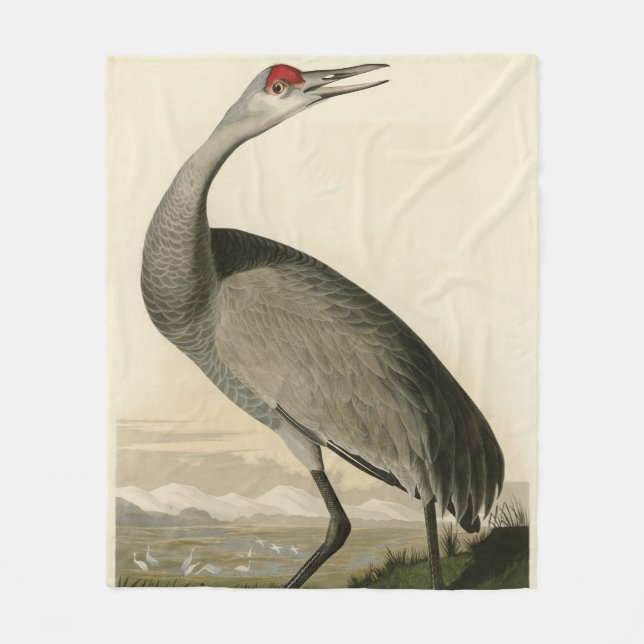 Sandhill Crane von Audubons Vögeln von Amerika Fleecedecke (Vorderseite)