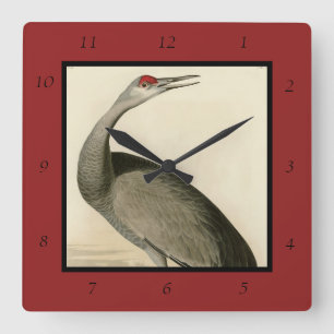 Sandhill Crane von Audubons Vögeln von Amerika Quadratische Wanduhr