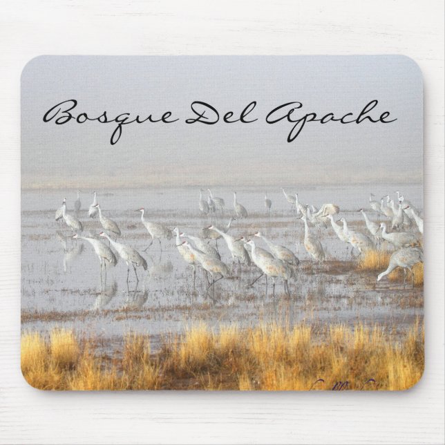 Sandhill Cranes, Bosque del Apache Postcard Mousepad (Vorne)