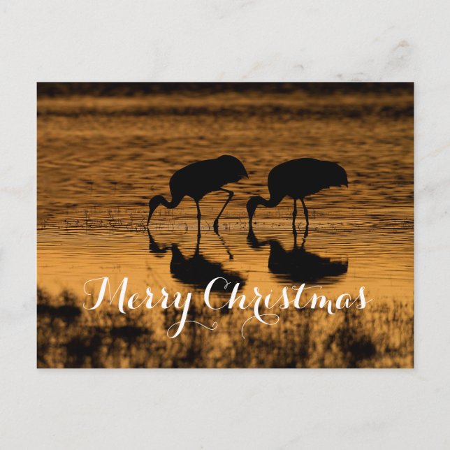 Sandhill Cranes, frohe Weihnachten (Vorderseite)