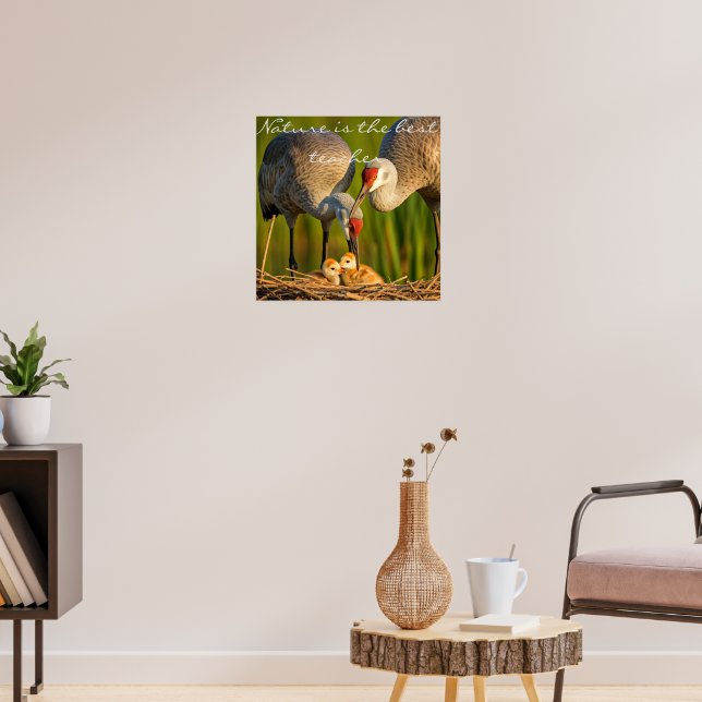 Sandhill Cranes Kümmerte für ihre Jugend" Wall Déc Poster (Wohnzimmer 3)