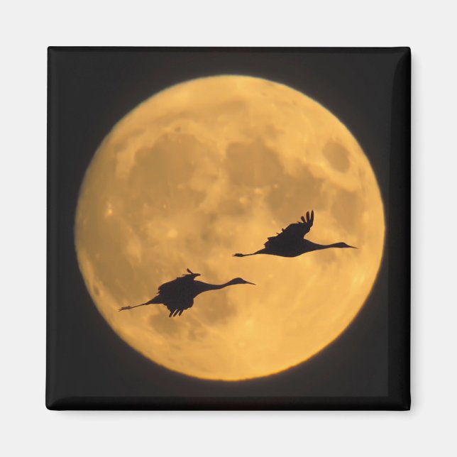 Sandhill Cranes | National Wildlife Reserve Magnet (Vorne)