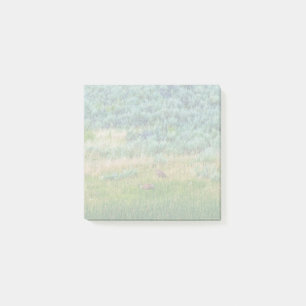 Sandhill Cranes Post-it Klebezettel