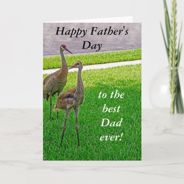 Sandhill Cranes - Vatertag - Geburtstag Karte (Vorderseite)