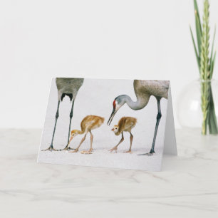 Sandhill Kran Famiy Anmerkungskarte Karte