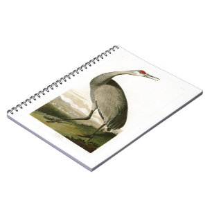 Sandhill Kran-John James Audubon-Vögel von Amerik Notizblock