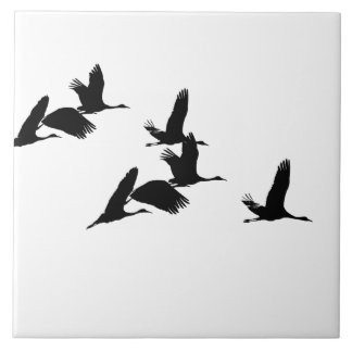 Sandhill Kran-Vögel, die Tier-Keramik-Fliese Fliese