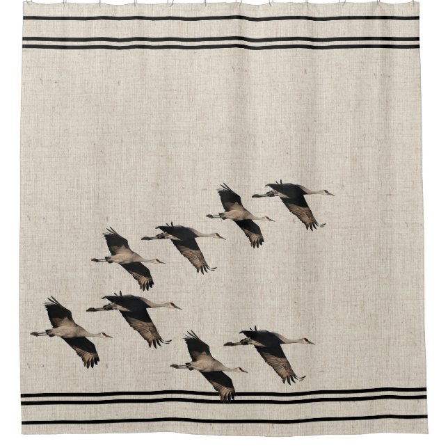 Sandhill Kran-Vogel-Tier-Imitat-Leinen-Streifen Duschvorhang (Vorderseite)