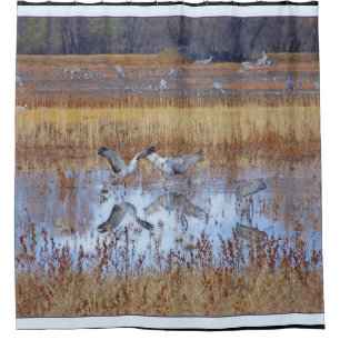 Sandhill Kran-Vogel-Tier-Tier Duschvorhang