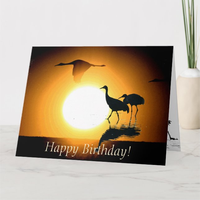 Sandhill Kran-Vogel-Tier-Tier-Geburtstag Karte (Vorderseite)