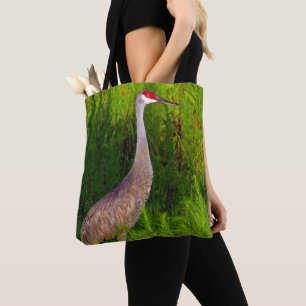 Sandhill Kräne in der Luft und aus den Grund Tasche