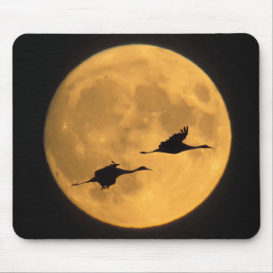 Sandhill-Kraniche Nationales Wildreservat Mousepad