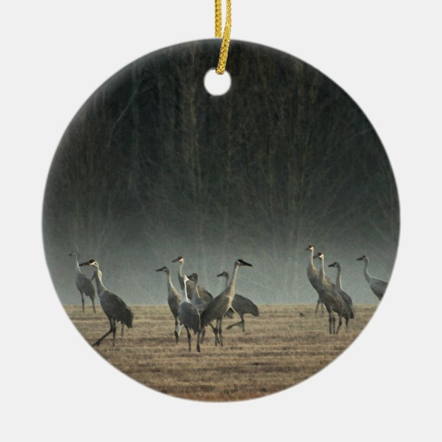 Sandhill streckt am frühen Morgen Frühlings-Nebel Keramikornament (Vorne)