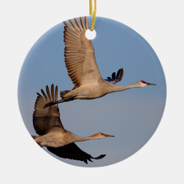 sandhill streckt sich im Flug Keramik Ornament (Vorne)