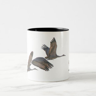 Sandhill streckt Tasse