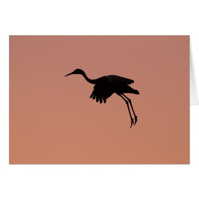 Sandhille Silhouette am rosa Sonnenuntergang (Vorderseite (Horizontal))