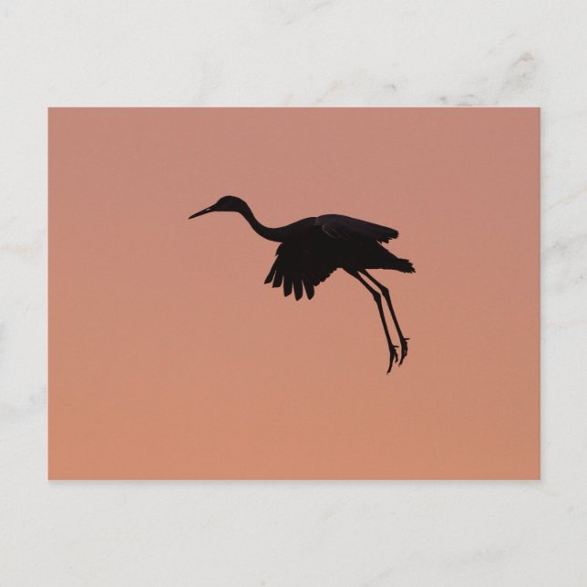 Sandhille Silhouette am rosa Sonnenuntergang Postkarte (Vorderseite)