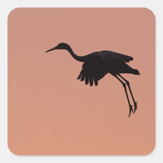 Sandhille Silhouette am rosa Sonnenuntergang Quadratischer Aufkleber (Vorderseite)