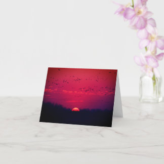Sandhügelkrane bei Sunset notecard 1 Nebraska 2018 Karte
