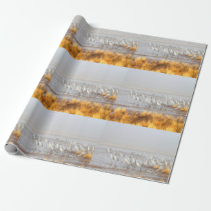 Sandhügelkrane Geschenkpapier