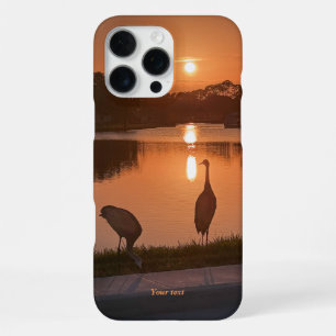 Sandhügelkrane Silhouette bei Sunset iPhone 16 Pro Max Hülle