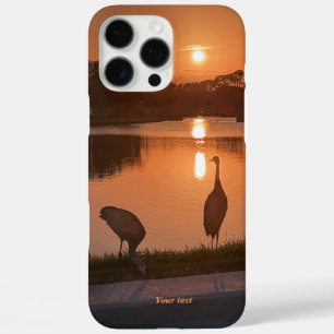 Sandhügelkrane Silhouette bei Sunset iPhone 16 Pro Max Hülle