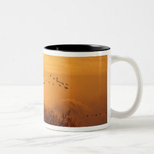 Sandhügelkrane, silhouettiert gegen aufgehende Son Zweifarbige Tasse