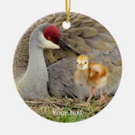 Sandhügelkranvogel mit Kick-Colt-Fotografie Keramik Ornament