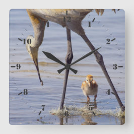 Sandkranich mit Küken (kalt) im Florida-See Quadratische Wanduhr