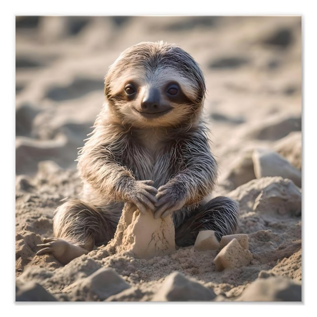 Sandküsten : Baby Sloth Gebäude Sand Castles, Fotodruck (Vorne)