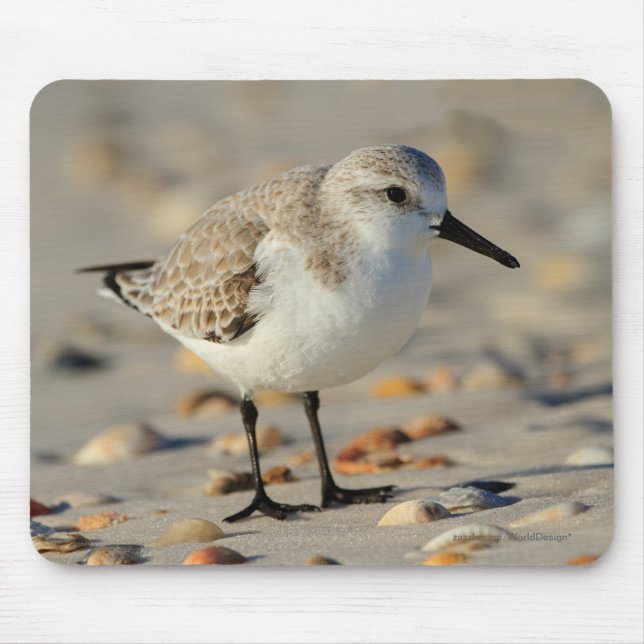 Sandpfeifer und Seashells Mousepad (Vorne)