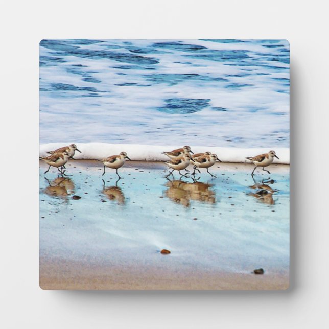 Sandpferde entlang des Strandes Fotoplatte (Vorderseite)