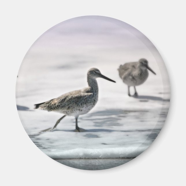 Sandpferde Magnet (Vorne)