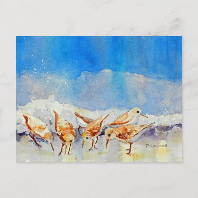 Sandpferde, Strand, Wellen, Ozean, Aquarell Postkarte (Vorderseite)